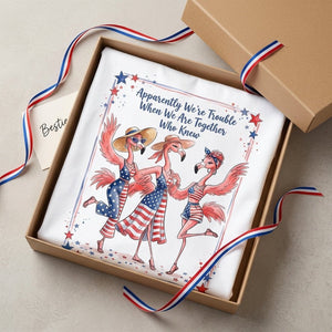 Apparently We're Trouble Flamingo Besties Patriotic July 4th Shirt - FlamingoAholic