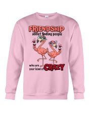 Friendship Flamingo Shirt – “Your Kind of Crazy” Funny Flamingo Tee for Best Friends - FlamingoAholic