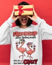 Friendship Flamingo Shirt – “Your Kind of Crazy” Funny Flamingo Tee for Best Friends - FlamingoAholic