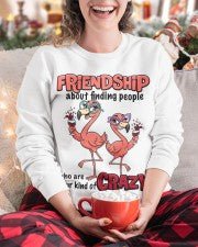 Friendship Flamingo Shirt – “Your Kind of Crazy” Funny Flamingo Tee for Best Friends - FlamingoAholic