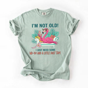 Hilarious Flamingo Quote T-Shirt - I'm Not Old WD - 40 Funny Graphic Tee for Women - FlamingoAholic
