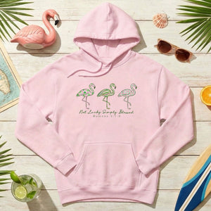 Not Lucky Simply Blessed Flamingo Shirt – Christian Faith Romans 4:7 - 8 Bible Verse Flamingo T-Shirt - FlamingoAholic