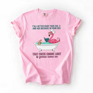 Sassy Flamingo Check Engine Light Shirt - Funny 50th Birthday Gift for Women Over 40 - FlamingoAholic